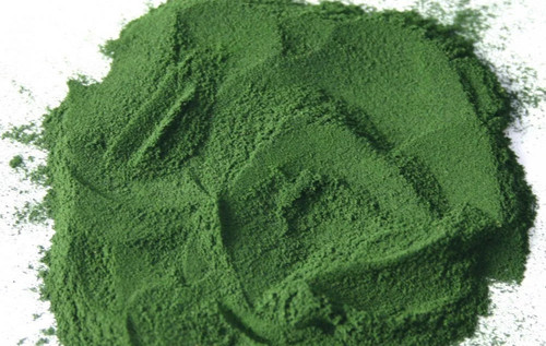 Spirulina pura polvere - spirulina,