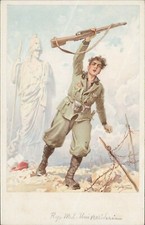 an8 cartolina militare reparti milizia universitaria