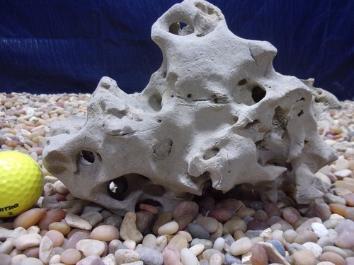 Texas holey rock - holey,