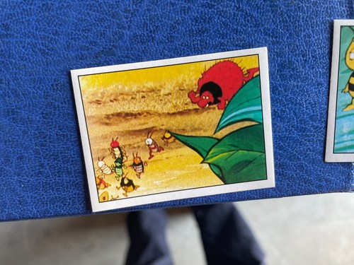 Panini album ape maia - panini,