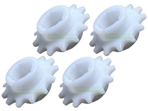 Pignone denti per - 13,