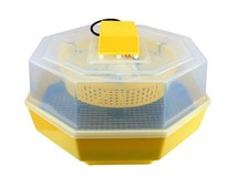 Incubatrice 60 uova gallina