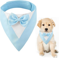 Smoking per Cani Con Papillon