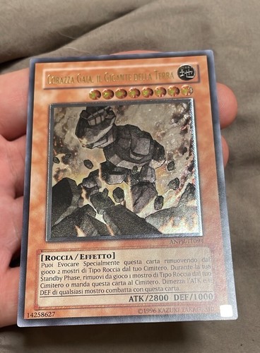 Corazza gaia gigante - gigante, della