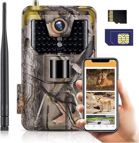 Fototrappola telecamera fauna - fototrappola,