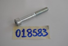 Vite marmitta/pompa freno anteriore Screw Piaggio Free 50 Liberty 125-150