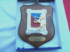 esercito italiano ww1 ww2 coloniale generale carristi centauro crest brigata rsi