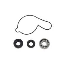 kit revisione pompa acqua
