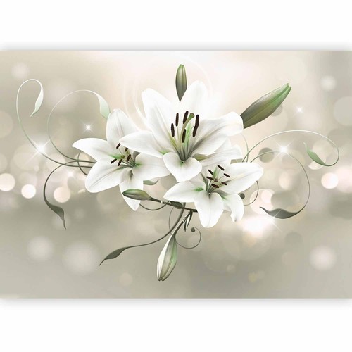 Fiori gigli carta parati - fiori, da