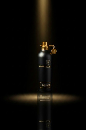 Montale paris oud island 100 - oud,