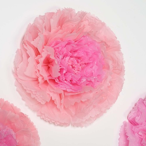 Confezione fiori garofano - 24,