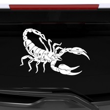 Adesivo Scorpione Decorazione