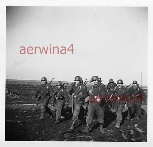Servizio fuoristrada aeroporto