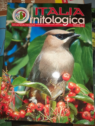 Rivista italia ornitologica - rivista-italia,