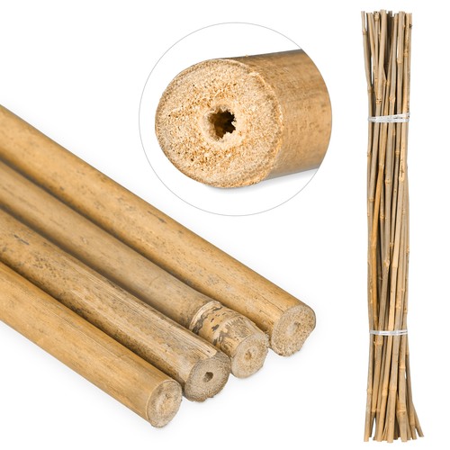 Canne bambù sostegno - di,
