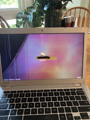 Toshiba chromebook - toshiba,