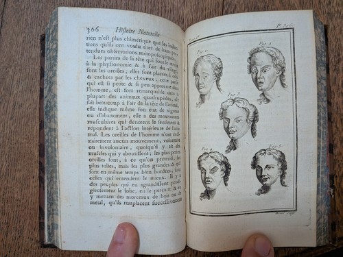 Libro antico buffon - libro,
