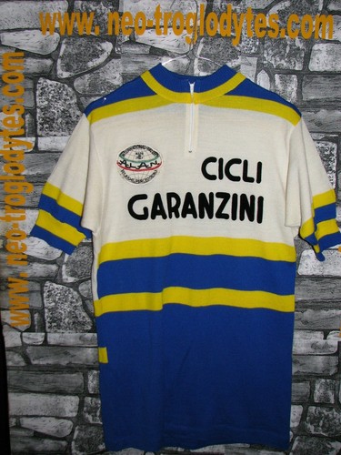 Vintage cycling jersey maglia - jersey,