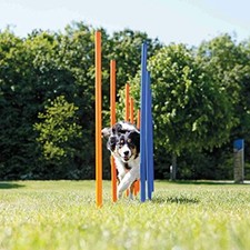 WEAVE POLES Agility Slalom