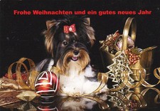 Cartolina X-MAS * CARTOLINA