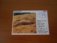 FIGURINA COLLEZIONE SCHEDE