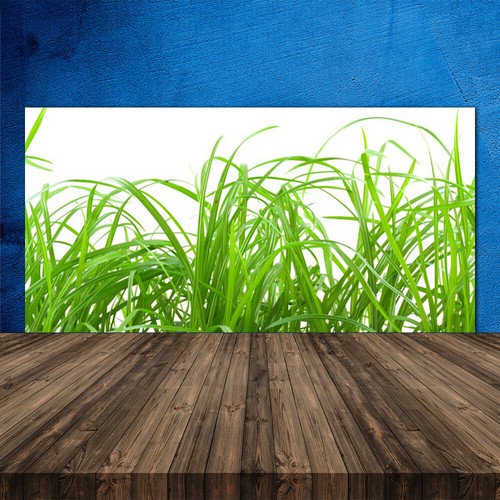 Paraschizzi cucina 120x60 - paraschizzi,