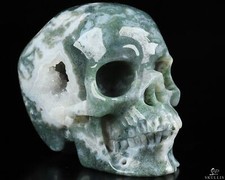 Teschio cristallo intagliato