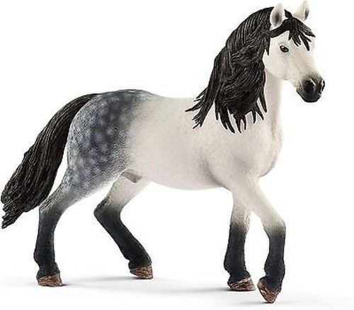 Cavallo club 13821 stallone - club,