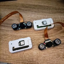 Raspberry PI Zero W - Pi Camera 5 MP Vista Notturna