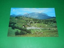 Cartolina Norcia - Forca