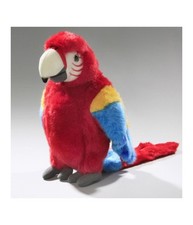 Pappagallo Giocattolo Parlante