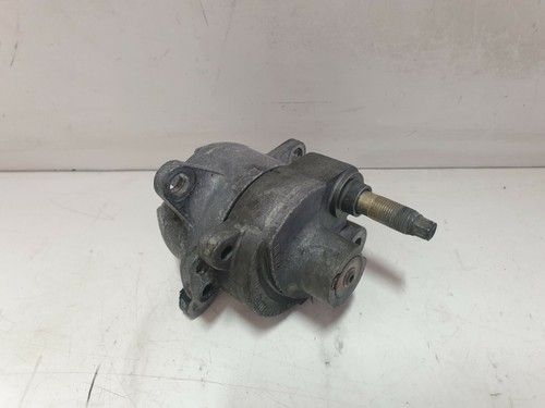 Tendicinghia alternatore per