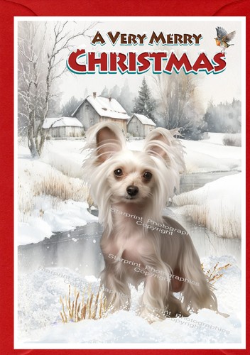 Biglietto natale cinese - di,