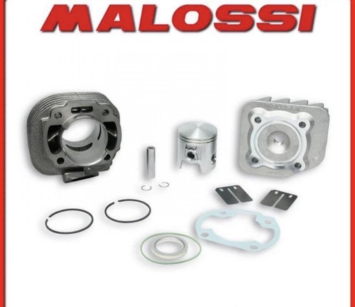 317083 gruppo termico - gruppo, malossi