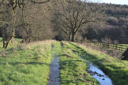 Photo 6x4 leafield - 6x4,