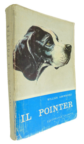 William arkwright pointer - arkwright, il