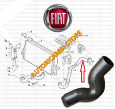 S1294 MANICOTTO COLLETTORE AL