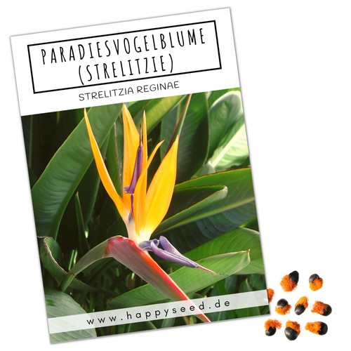 Semi strelitzie strelitzia - di, (strelitzia