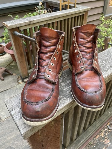 Scarpe red wing - red,