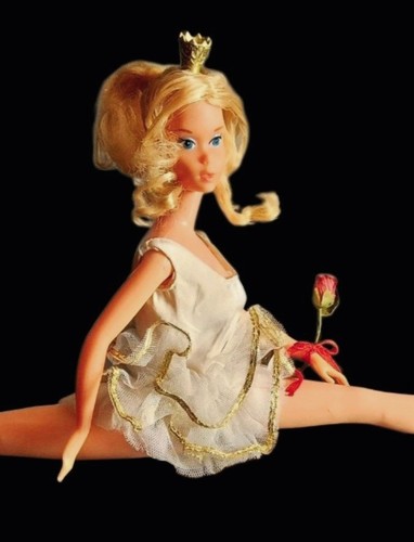Barbie ballerina étoile - barbie,