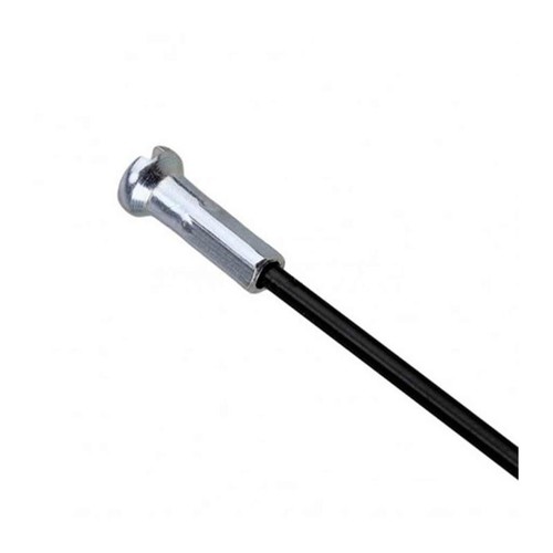 Rayons campagnolo bora - 4, one