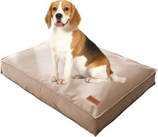 Cuccia Cane Interno Taglia