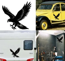 Aquila Versione 7 XL