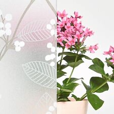 Pellicola per Vetri Finestre