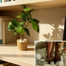 1/6 Miniature Casa Delle