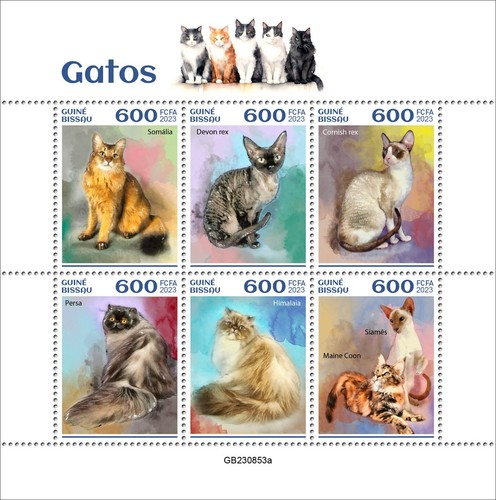 Francobolli gatti somali devon - gatti,