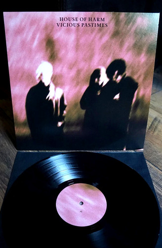 House harm vicious - house,