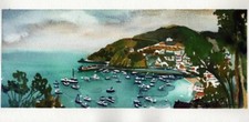 Catalina Harbor: Sandra