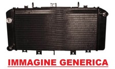 BIHR REPLACEMENT RADIATOR H2O