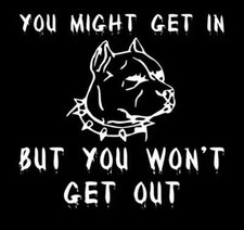 YOU MAY GET IN *B160* American